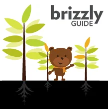 Brizzly Guide footer illustration