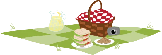 Brizzly Picnics logo