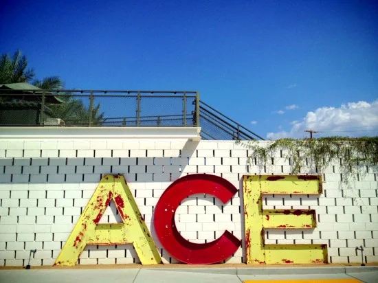We rented out the entire Ace Hotel for the weekend!