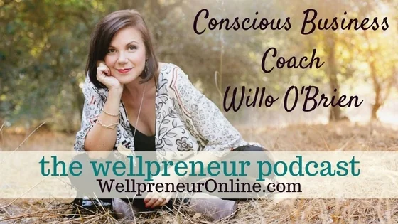Getting Aligned and Out of Your Own Way: Willo O'Brien on the Wellpreneur Podcast