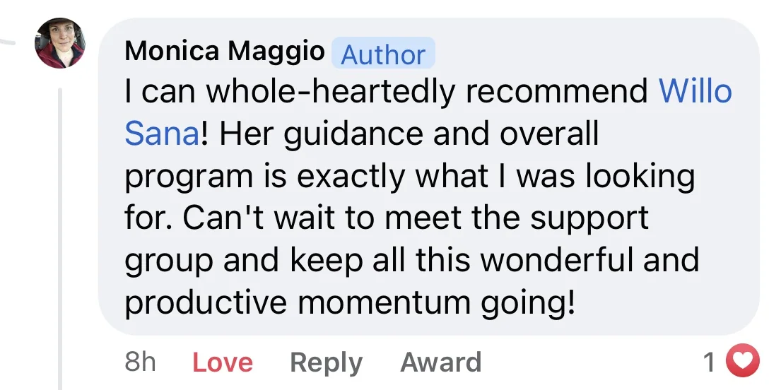 Screenshot Testimonial for Willo Sana