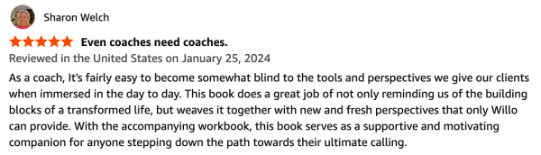 DDOYG book Amazon Review Screenshot 17